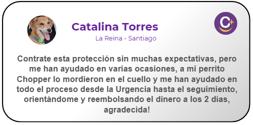 Chopper - Mestizo 3 años