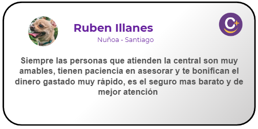 Bass - Chihuahua 2 años